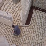 Podovi su također obloženi kamenom, a uz zid su napravljene žardinjere za cvijeće.